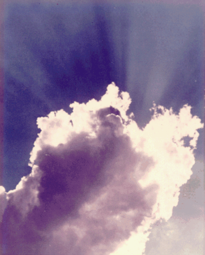 The Rapture